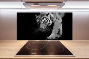 Sklenený panel do kuchyne Tiger pksh-89533463