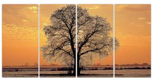 Obraz sa stromom (Obraz 160x80cm)