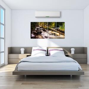 Obraz lesa na stenu (Obraz 160x80cm)