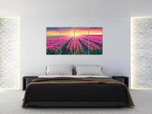 Obraz - polia kvetov (Obraz 160x80cm)
