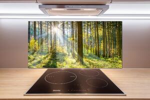 Dekoračný panel sklo Les slnko pksh-98252702