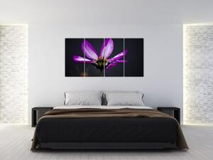 Obraz - kvety (Obraz 160x80cm)