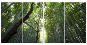 Obraz lesov (Obraz 160x80cm)