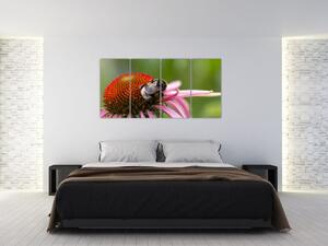 Obraz včely na kvete (Obraz 160x80cm)