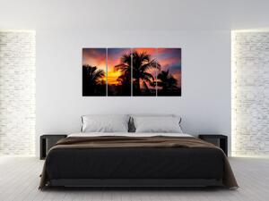 Obraz palmy na stenu (Obraz 160x80cm)