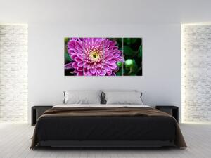 Obraz kvetu na stenu (Obraz 160x80cm)