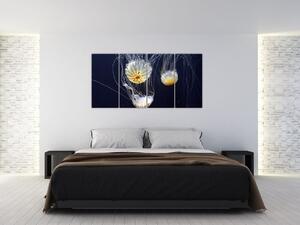 Obraz - medúzy (Obraz 160x80cm)