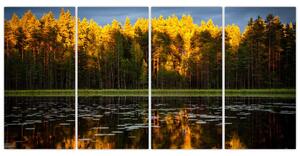 Obraz - jesenná krajina (Obraz 160x80cm)