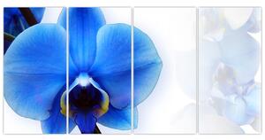 Obraz s orchideí (Obraz 160x80cm)