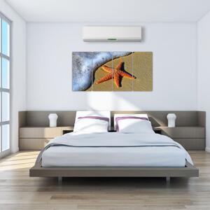 Obraz s morskou hviezdou (Obraz 160x80cm)