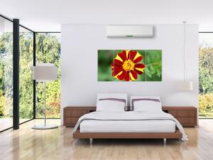 Obraz kvety na stenu (Obraz 160x80cm)