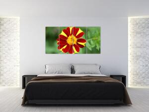 Obraz kvety na stenu (Obraz 160x80cm)