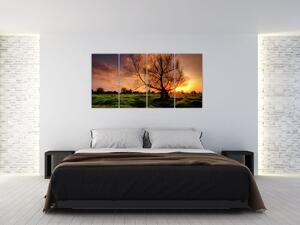 Západ slnka, obrazy (Obraz 160x80cm)
