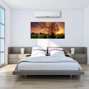 Západ slnka, obrazy (Obraz 160x80cm)