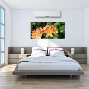 Oranžové kvety (Obraz 160x80cm)