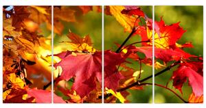 Jesenné lístie, obraz (Obraz 160x80cm)