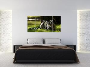 Obraz lemurov (Obraz 160x80cm)