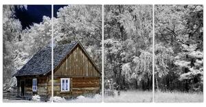 Chaloupka v zime, obrazy (Obraz 160x80cm)