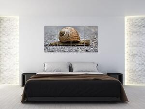 Ulita slimáka, obraz na stenu (Obraz 160x80cm)