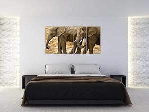 Slon, obraz (Obraz 160x80cm)