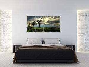 Letné mokrade - obraz (Obraz 160x80cm)