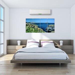 Obraz prímorského útesu (Obraz 160x80cm)