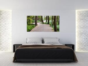 Cesta v lese - obraz (Obraz 160x80cm)