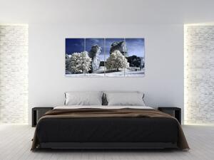 Zimná krajina - obraz do bytu (Obraz 160x80cm)