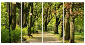 Cesta v parku - obraz (Obraz 160x80cm)