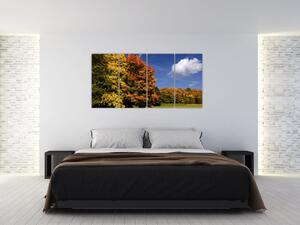 Jesenné stromy - obraz do bytu (Obraz 160x80cm)