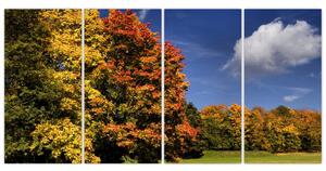 Jesenné stromy - moderný obraz (Obraz 160x80cm)