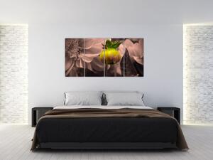 Obraz rastliny (Obraz 160x80cm)