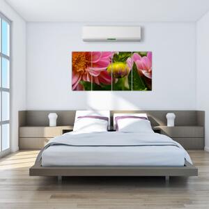 Obraz kvetu rastliny (Obraz 160x80cm)