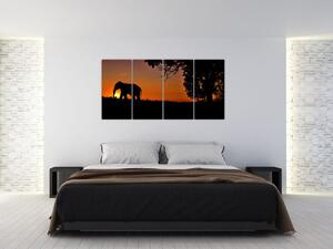 Obraz slona v prírode (Obraz 160x80cm)
