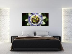 Obrazy kvetov (Obraz 160x80cm)
