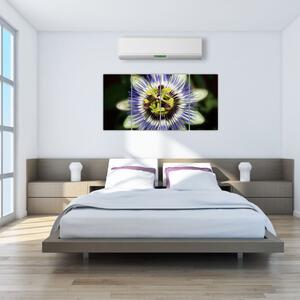 Obrazy kvetov (Obraz 160x80cm)