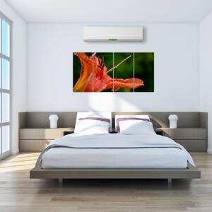 Obrázok kvety (Obraz 160x80cm)
