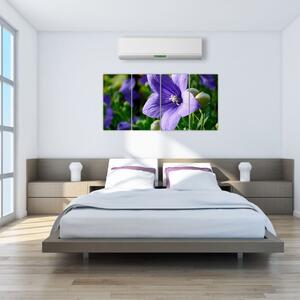 Kvety - obraz (Obraz 160x80cm)