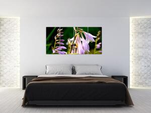 Kvety - obraz (Obraz 160x80cm)
