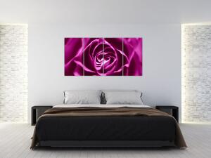 Obraz ruže (Obraz 160x80cm)