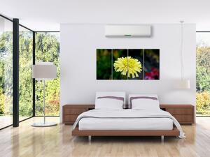 Obrazy kvetiny (Obraz 160x80cm)