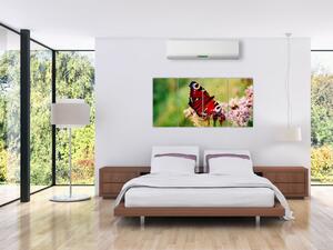 Motýľ - obraz (Obraz 160x80cm)