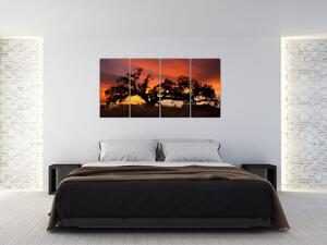 Strom v krajině - obraz (Obraz 160x80cm)
