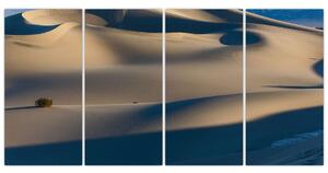 Púšť - obraz (Obraz 160x80cm)