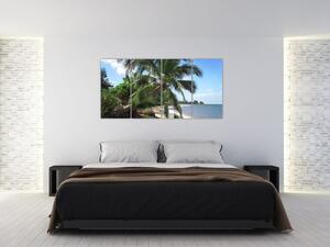 Palma - obraz (Obraz 160x80cm)