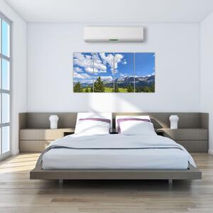 Fotka hôr - obraz (Obraz 160x80cm)