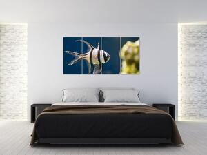 Ryba - obraz (Obraz 160x80cm)