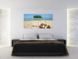 Pláž - obraz (Obraz 160x80cm)