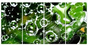 Kvapky vody - obrazy (Obraz 160x80cm)