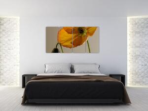 Žltý kvet - obraz (Obraz 160x80cm)